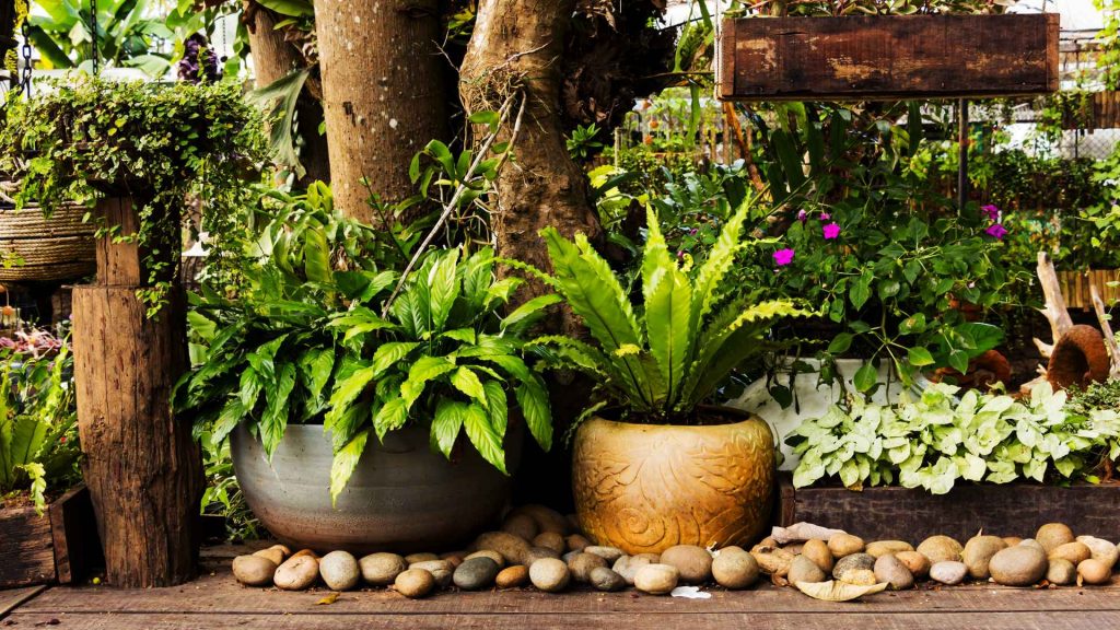 מוצרים לגינה