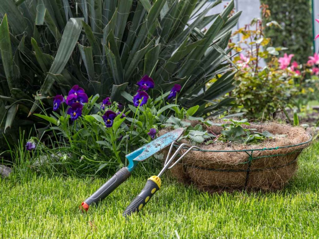 עיצוב גינות